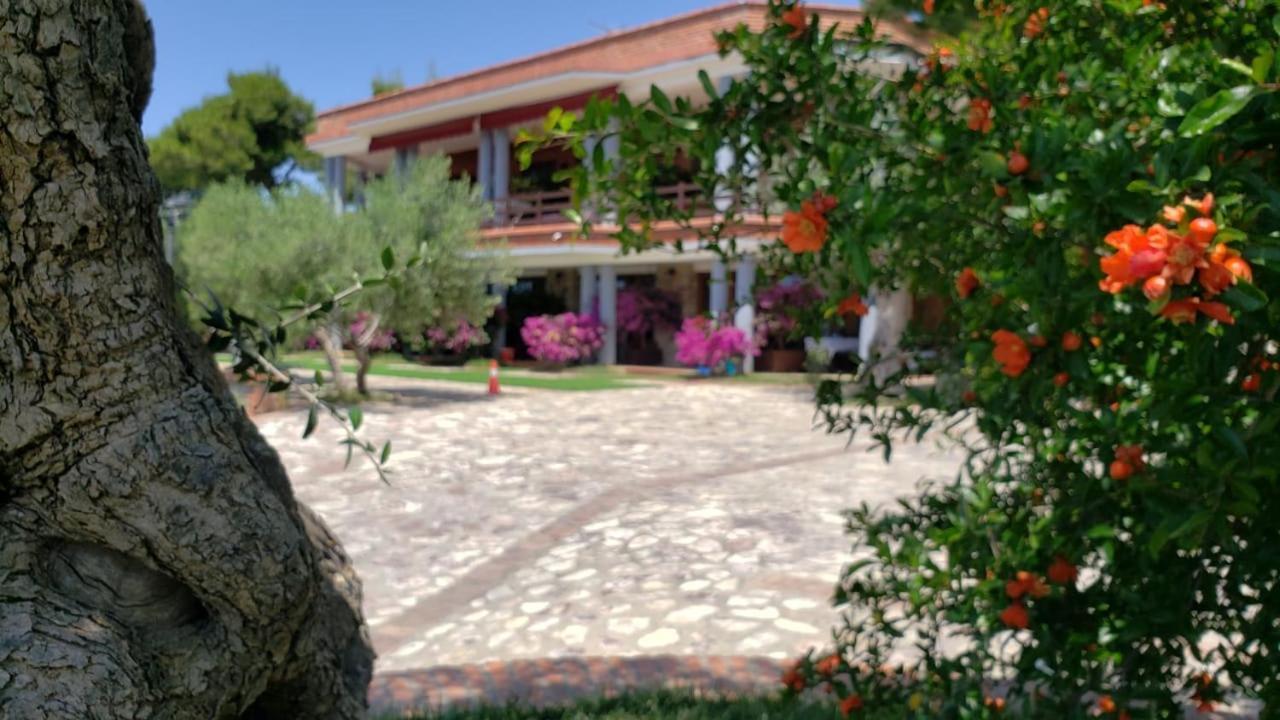 Hotel Brifs Shëngjin Eksteriør bilde
