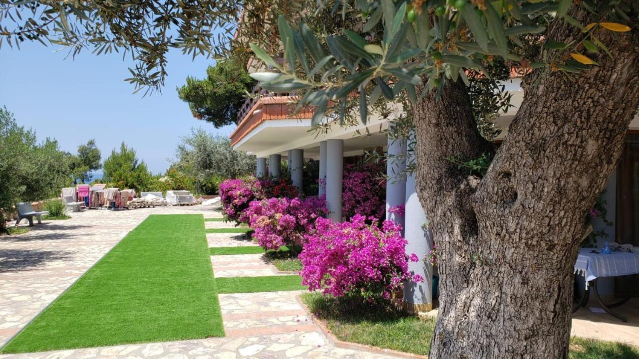 Hotel Brifs Shëngjin Eksteriør bilde